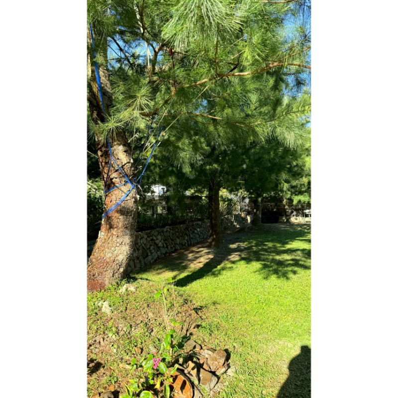 森3區-3帳包區